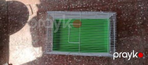 Qəfəs — Bakı