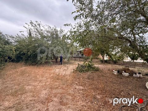 Satılır Torpaq sahəsi, 3 sot, Xəzər rayonu — Bakı
