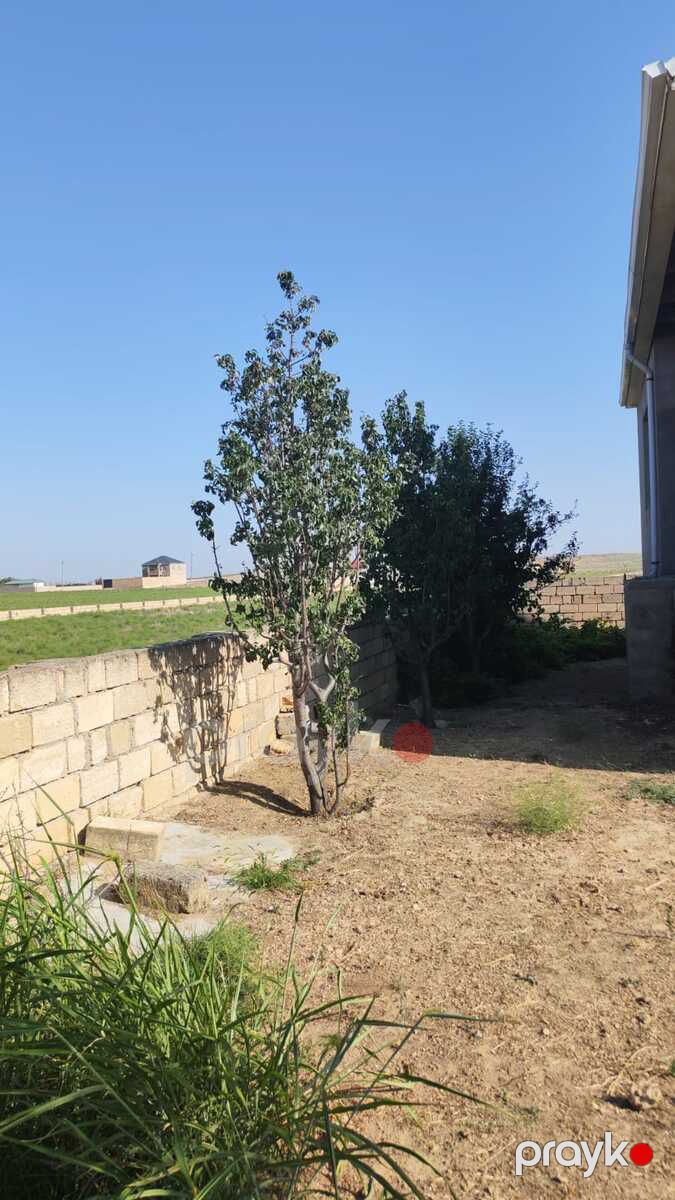 Satılır torpaq 100 sot — Torpaq, Bakı (5)