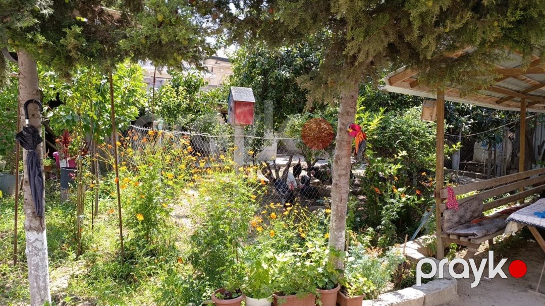 Satılır torpaq 3 sot — Torpaq, Bakı (4)