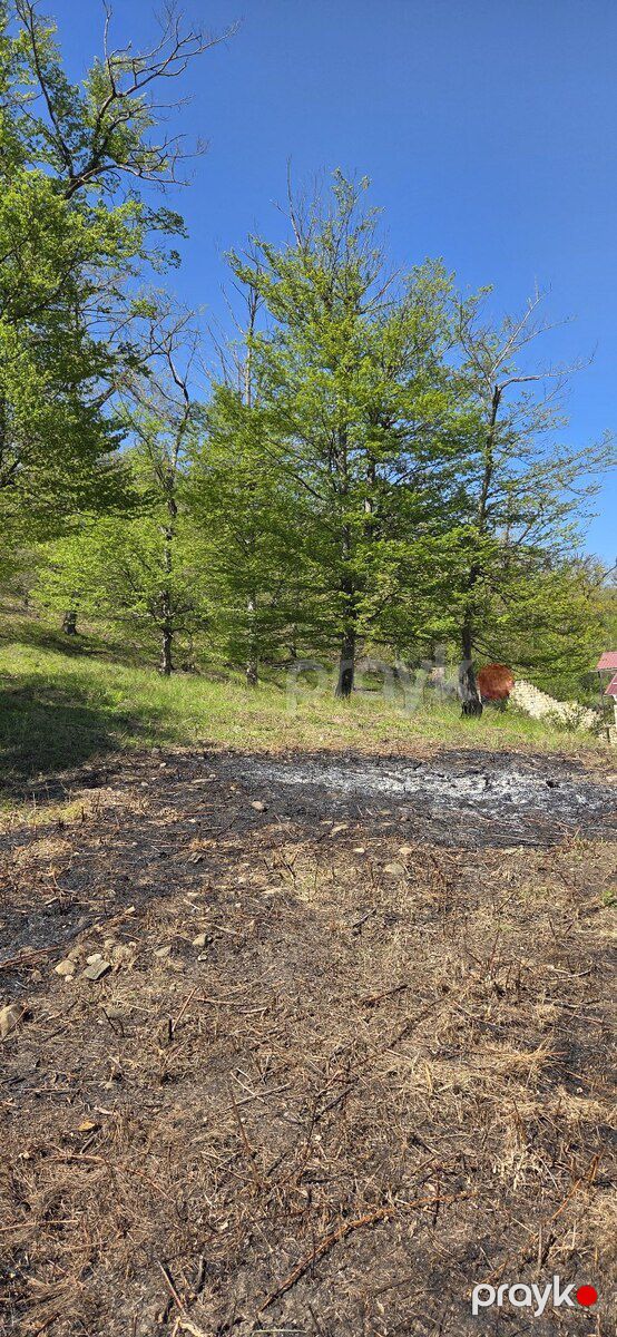 32 sot torpaq sahəsi, Qusar r — Torpaq, Qusar (3)
