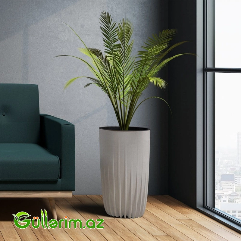 Lamela ECO Dibçək — Bakı