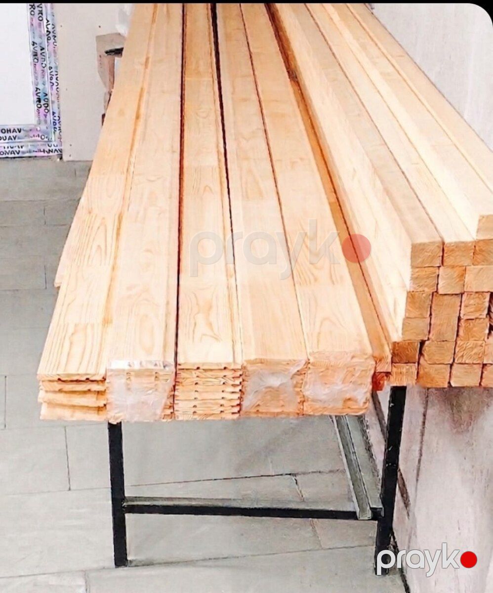 İt yuvaları — Heyvan malları, Bakı (5)