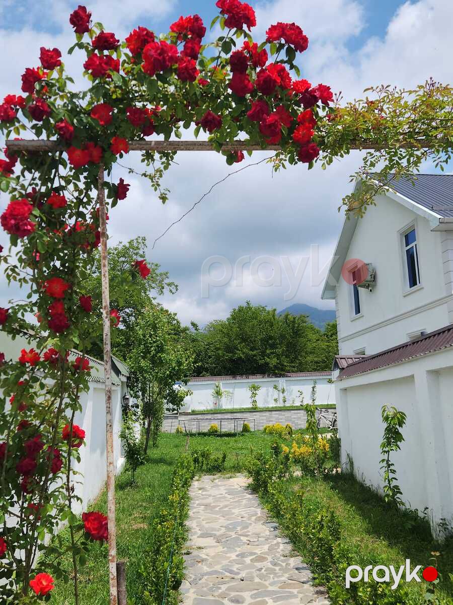 Villa kirayə verilir, Qəbələ ş — Ev, villa, Qəbələ (6)