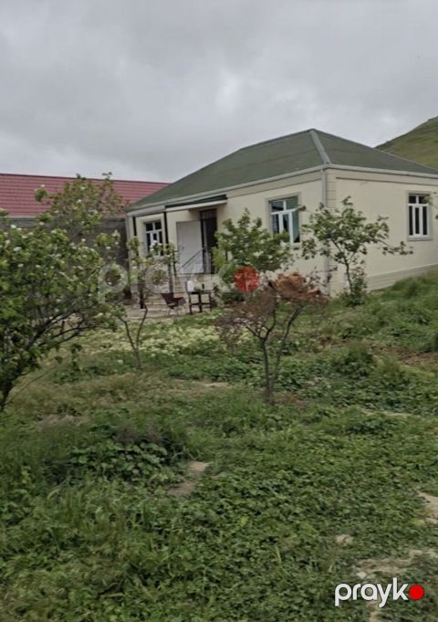 Bağ evi, Novxanı qəs — Bakı