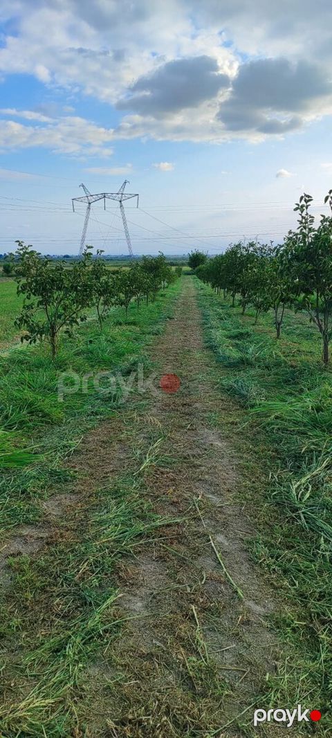 2500 sot torpaq sahəsi, Mingəçevir ş — Mingəçevir