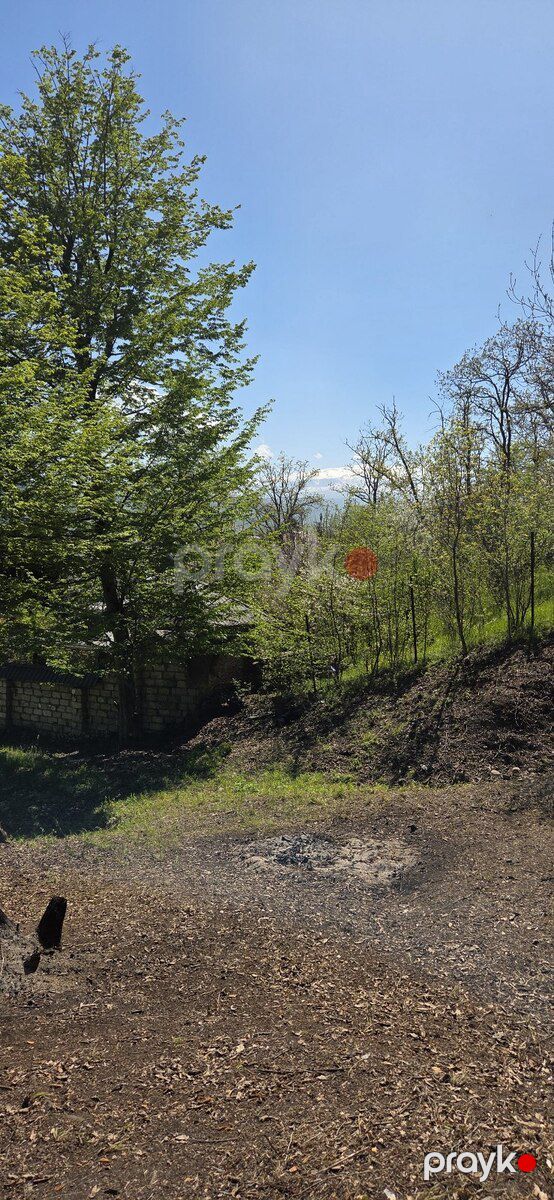32 sot torpaq sahəsi, Qusar r — Torpaq, Qusar (5)