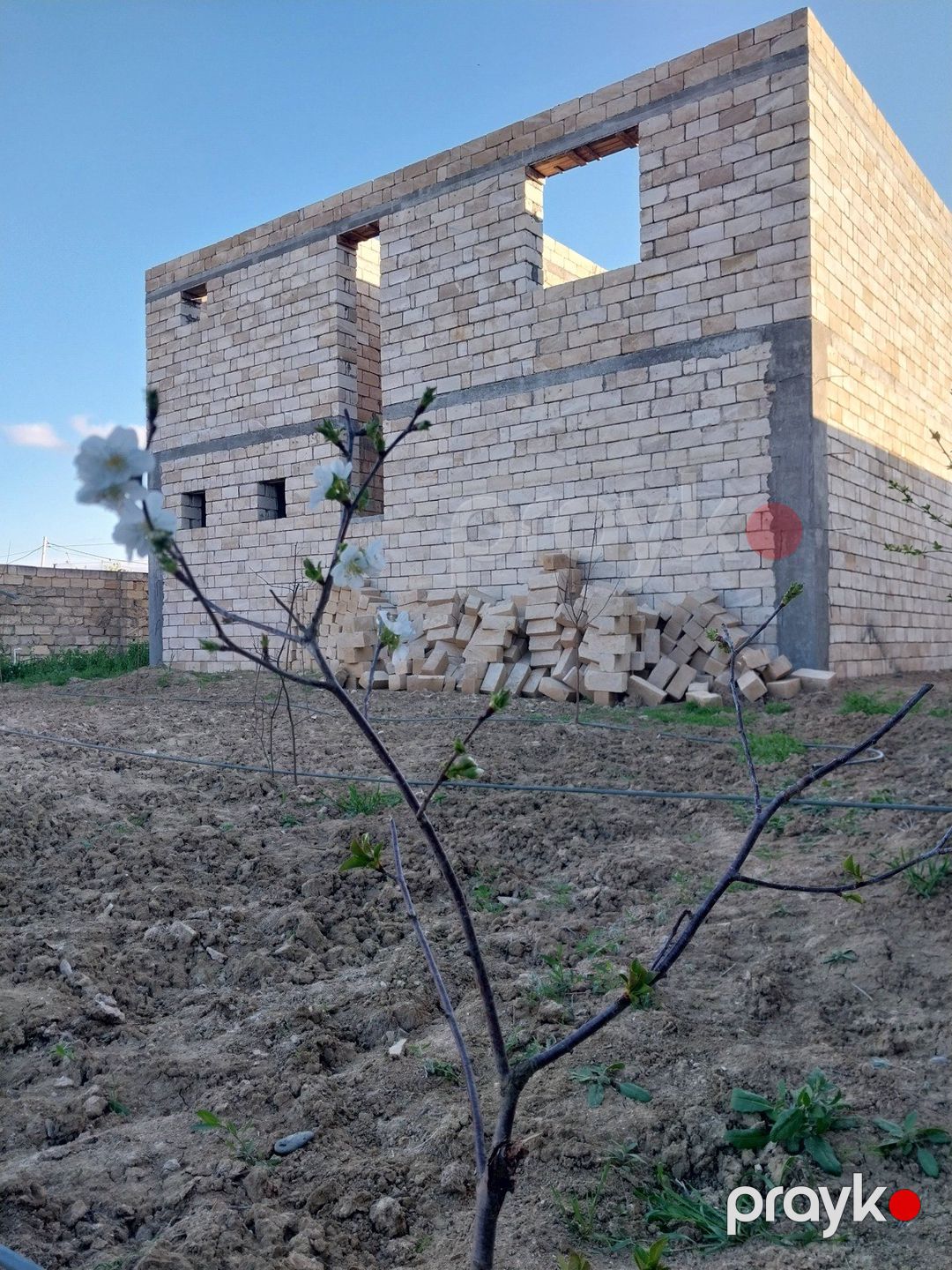 Həyət evi, Şirvan ş — Ev, villa, Şirvan (3)