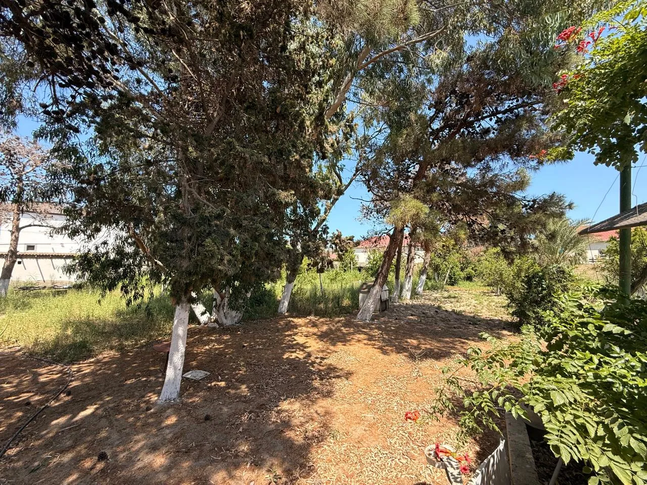 Mərdəkan, Torpaq satılır - 23 sot — Torpaq, Bakı (10)