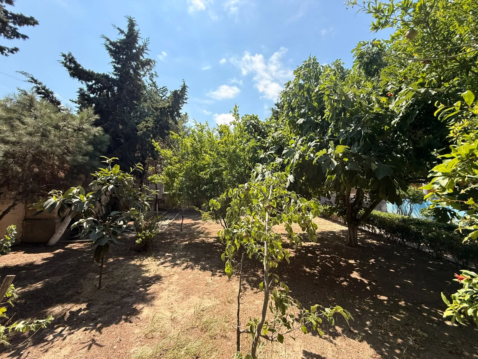 Mərdəkan, Torpaq satılır - 7.5 sot — Torpaq, Bakı (6)