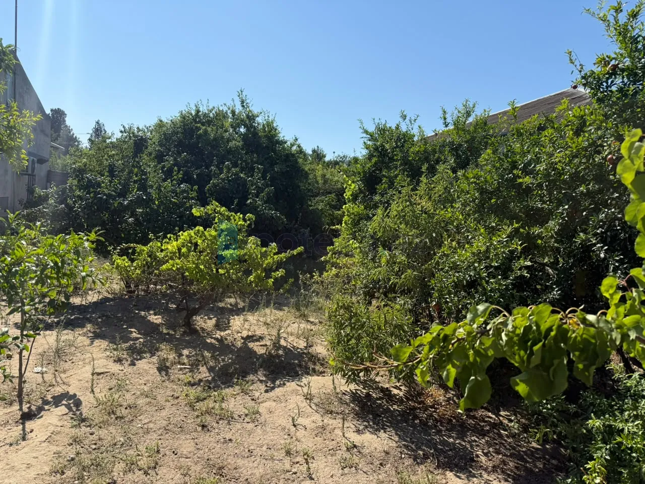 Satılır: Torpaq, 5.00 m² — Torpaq, Maştağa (2)