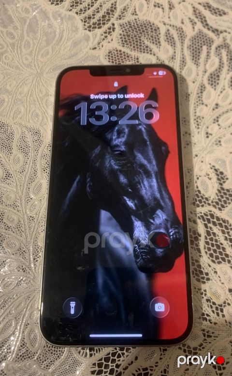 Apple iPhone 12 Pro Max Silver 256GB/6GB — Bakı