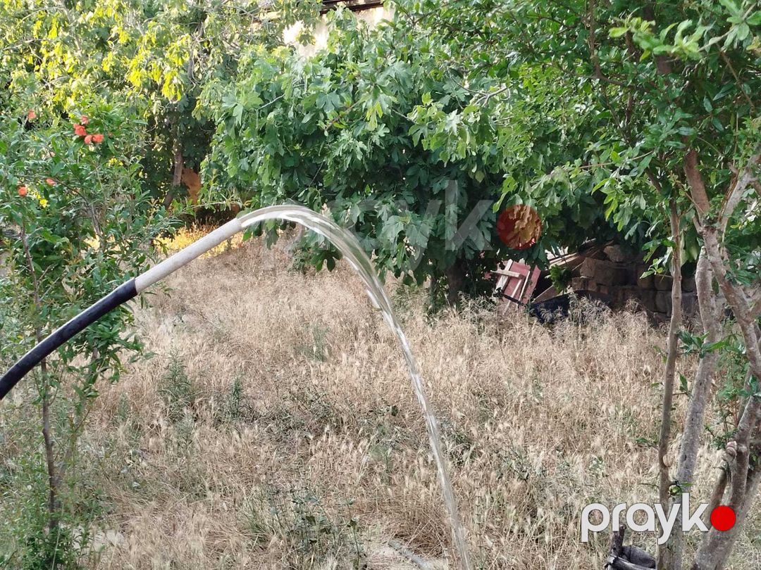 Satılır torpaq 4 sot — Torpaq, Bakı (4)