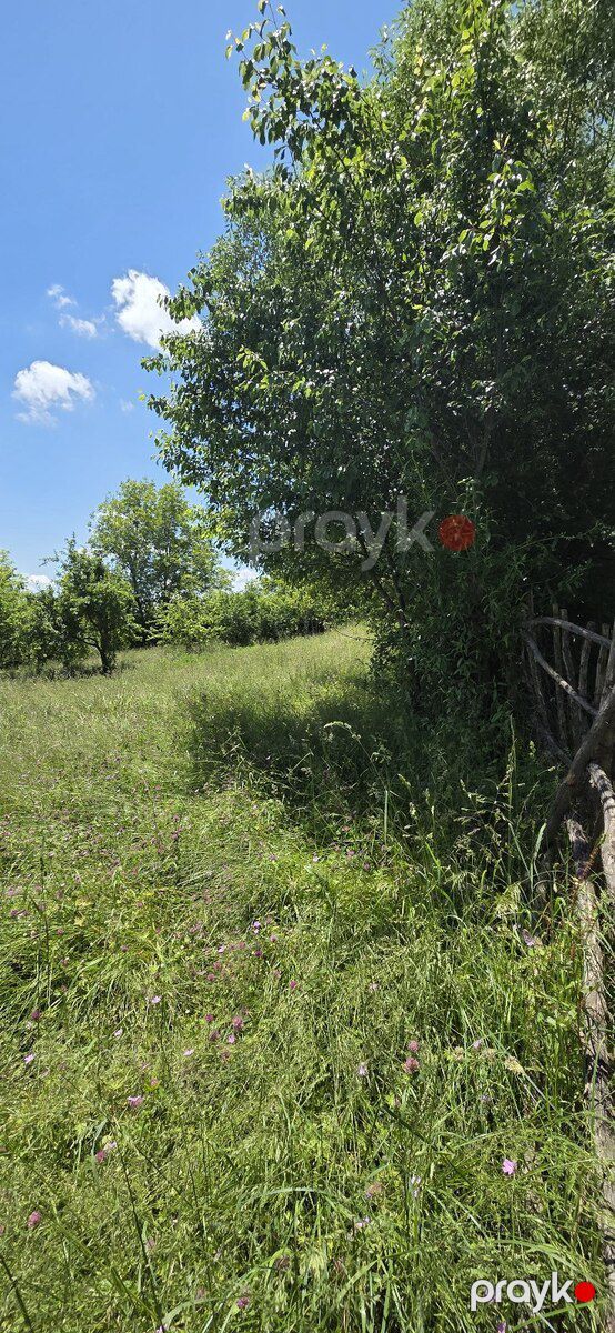 12 sot torpaq sahəsi, Qusar r — Torpaq, Qusar (2)