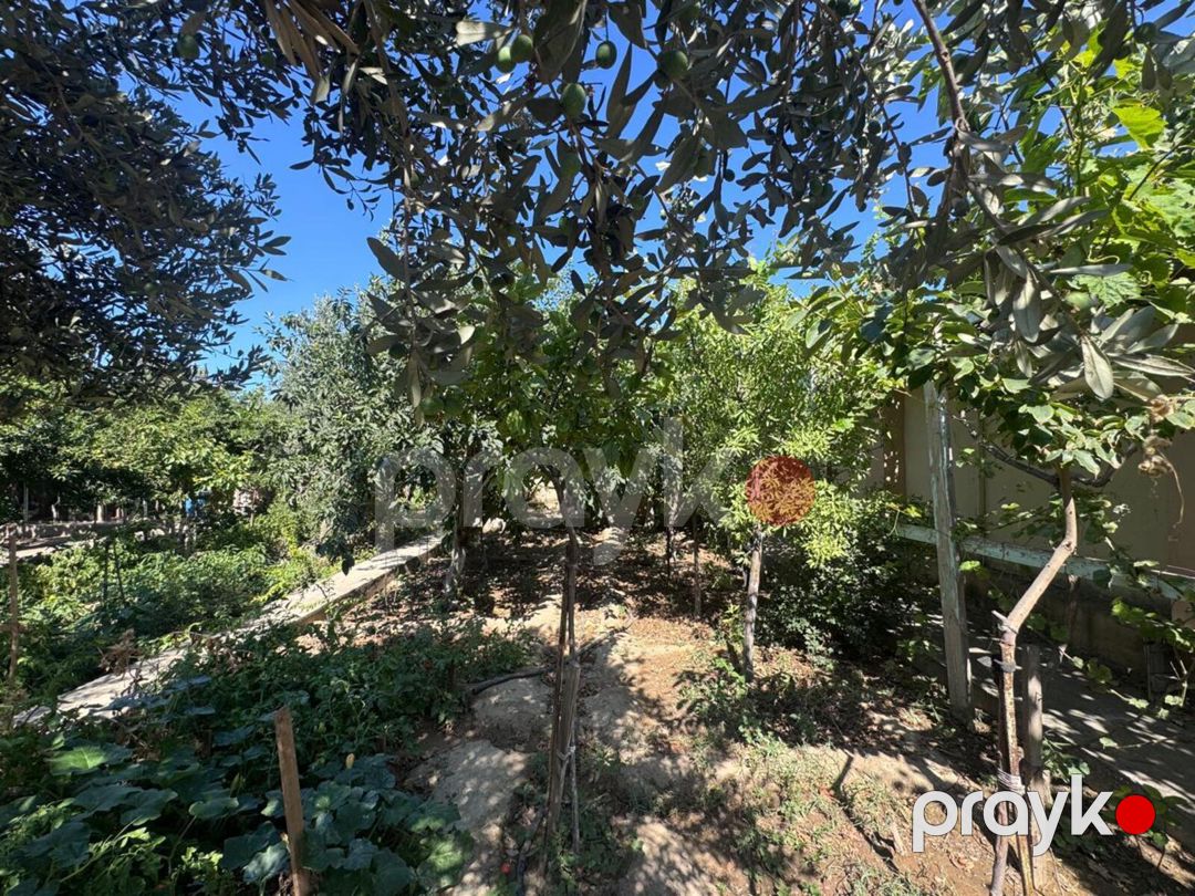 Satılır 7 otaqlı həyət evi/bağ evi 350 m² — Ev, villa, Bakı (6)
