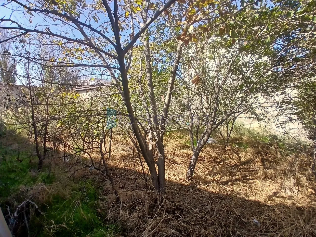 Satılır: 5 Otaq, Evlər/Villalar, Abşeron r., Novxanı q., 300.00 m² — Ev, villa, Sumqayıt (5)