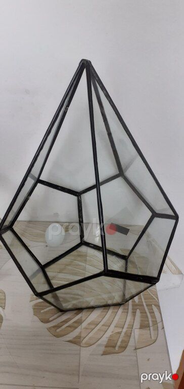 Terrarium — Bakı