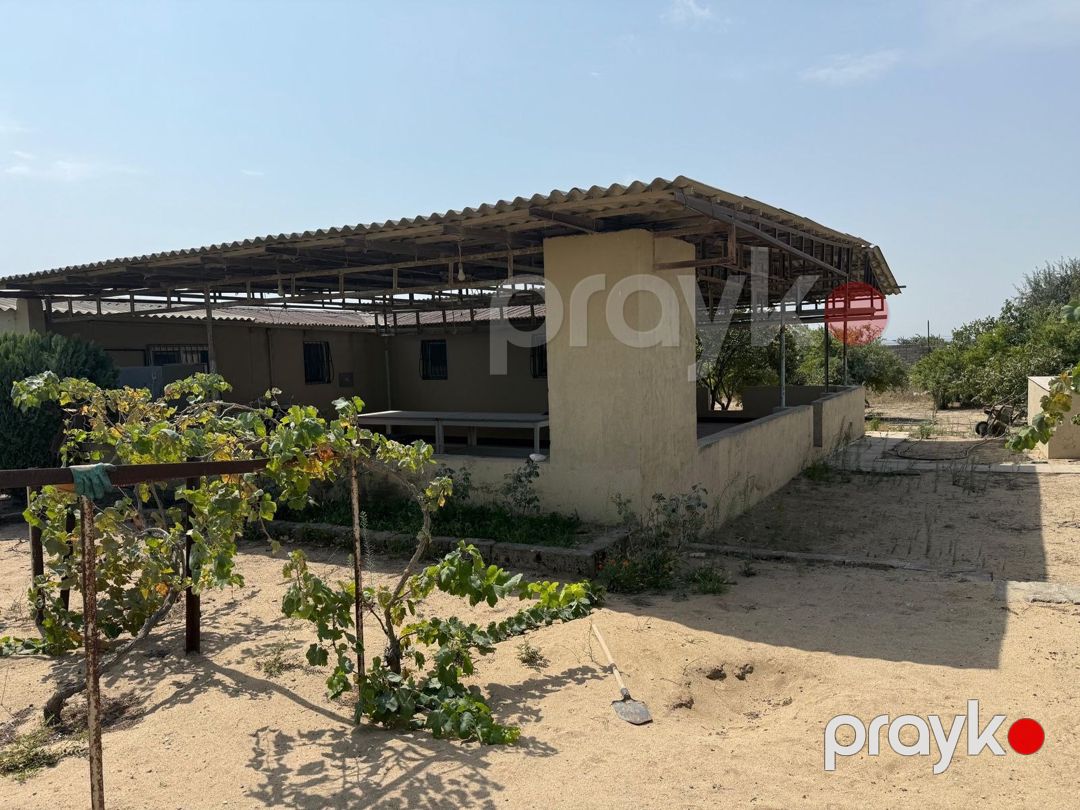 20 sot torpaq sahəsi, Nardaran qəs — Torpaq, Bakı (4)