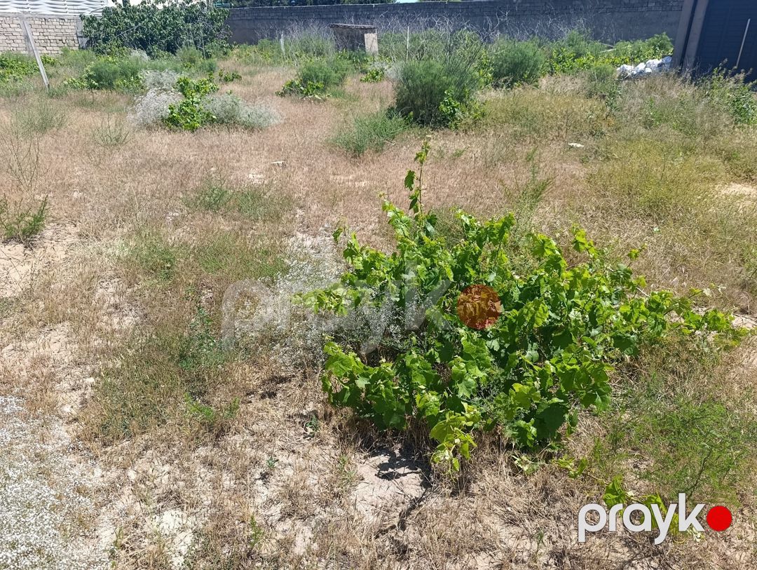 Satılır torpaq 12 sot — Torpaq, Bakı (3)