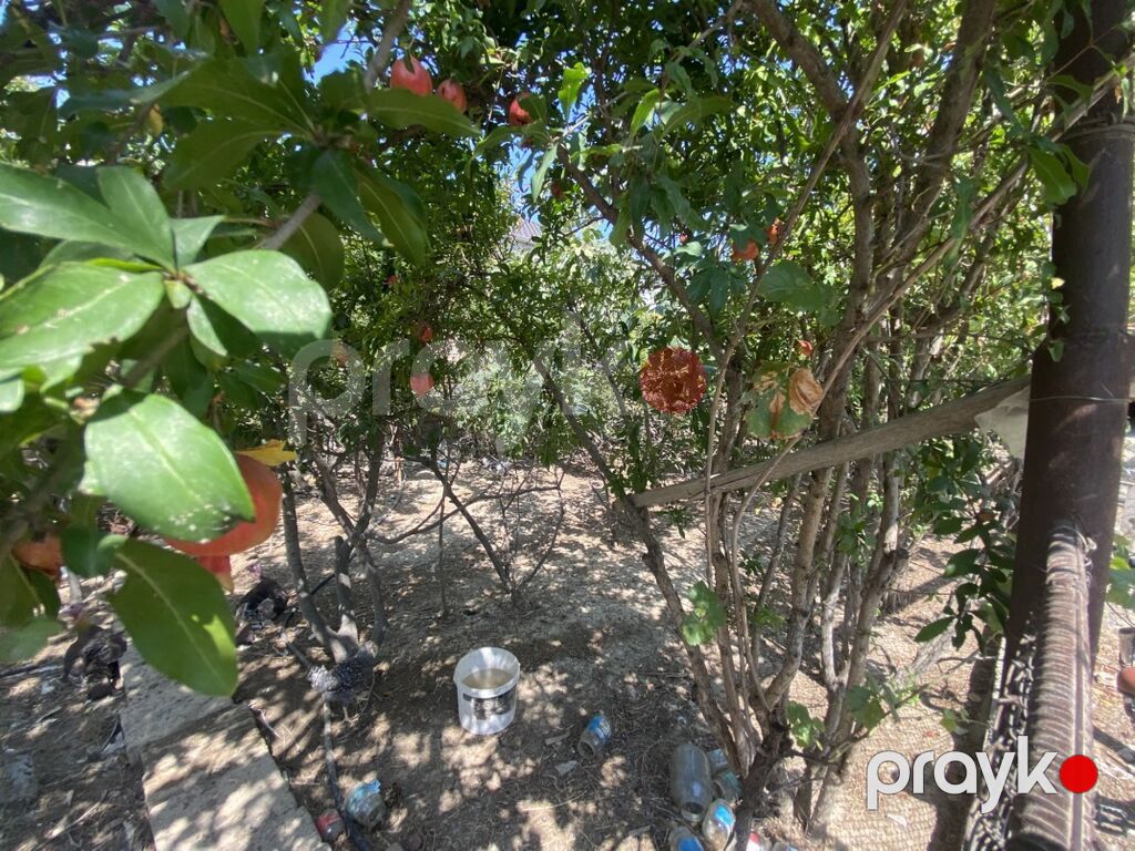 2 sot, Kupça (Çıxarış) — Torpaq, Masazır (4)