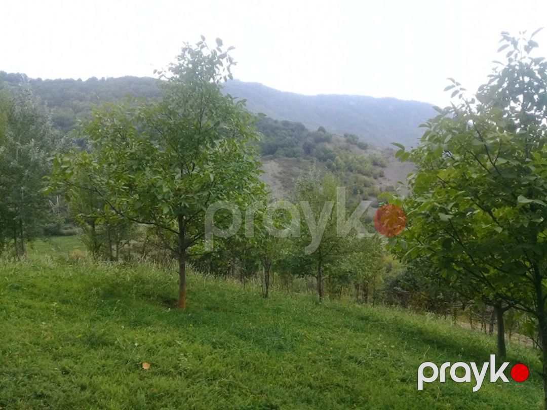 Satılır torpaq 16 sot — Torpaq, İsmayıllı (5)
