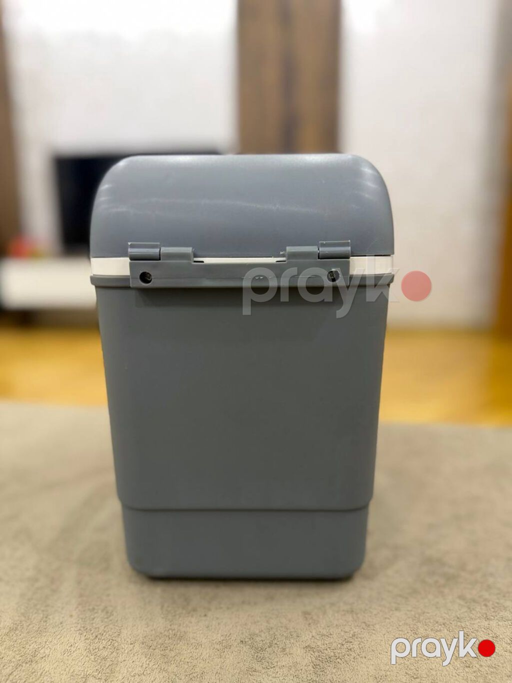 Mystery MTC-8 avtomobil soyuducusu – 50 AZN - Həcm: 8 litr — Avtomobil üçün soyducu, Bakı (4)