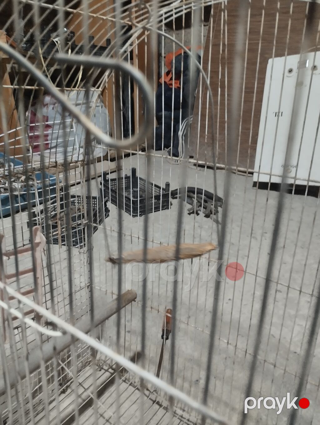 Metall quş qəfəsi dovşan tutuquşu göyərçin qəfəs - Material: möhkəm — Qəfəslər, Digah (3)