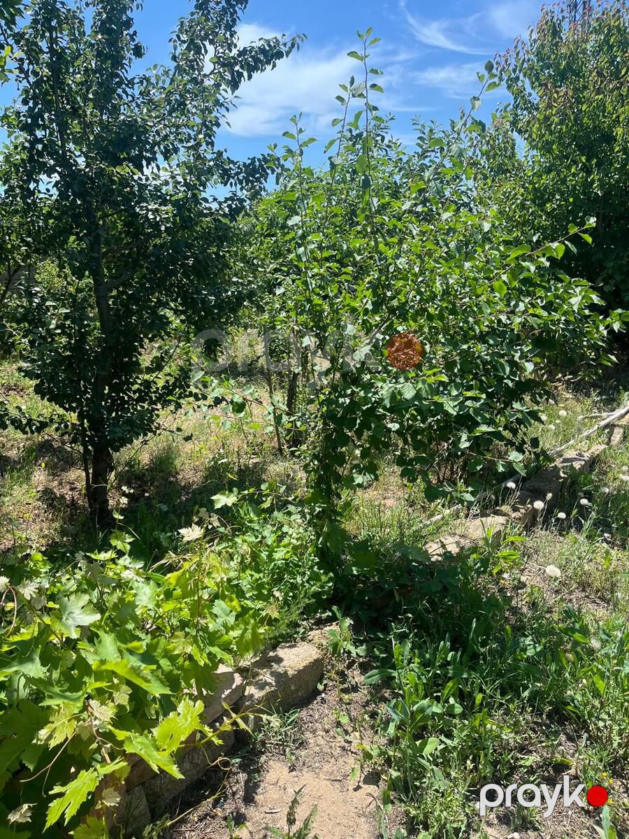 Satılır torpaq 8 sot — Torpaq, Bakı (6)