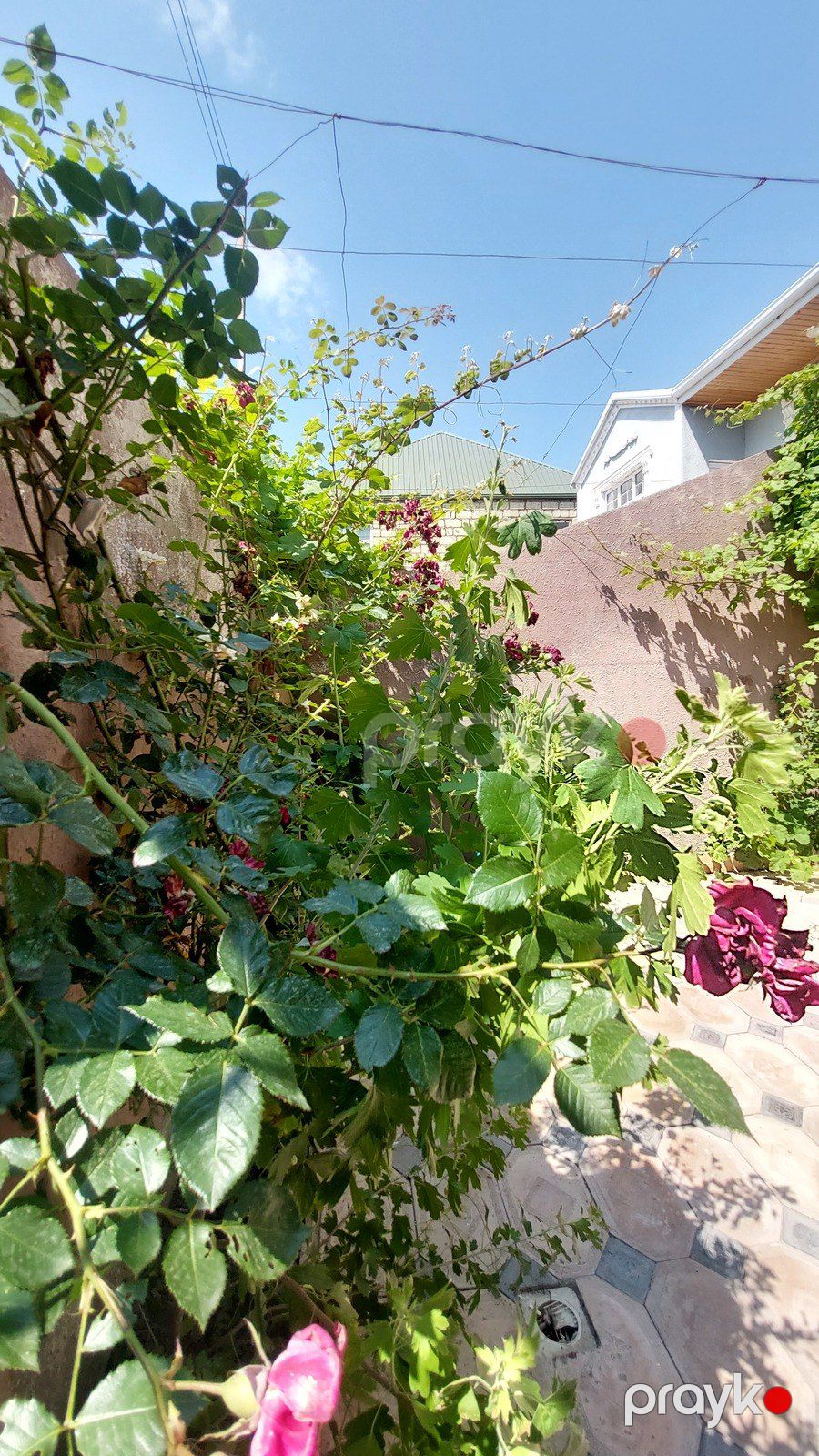 Satılır 5 otaqlı həyət evi/bağ evi 140 m² — Ev, villa, Bakı (3)