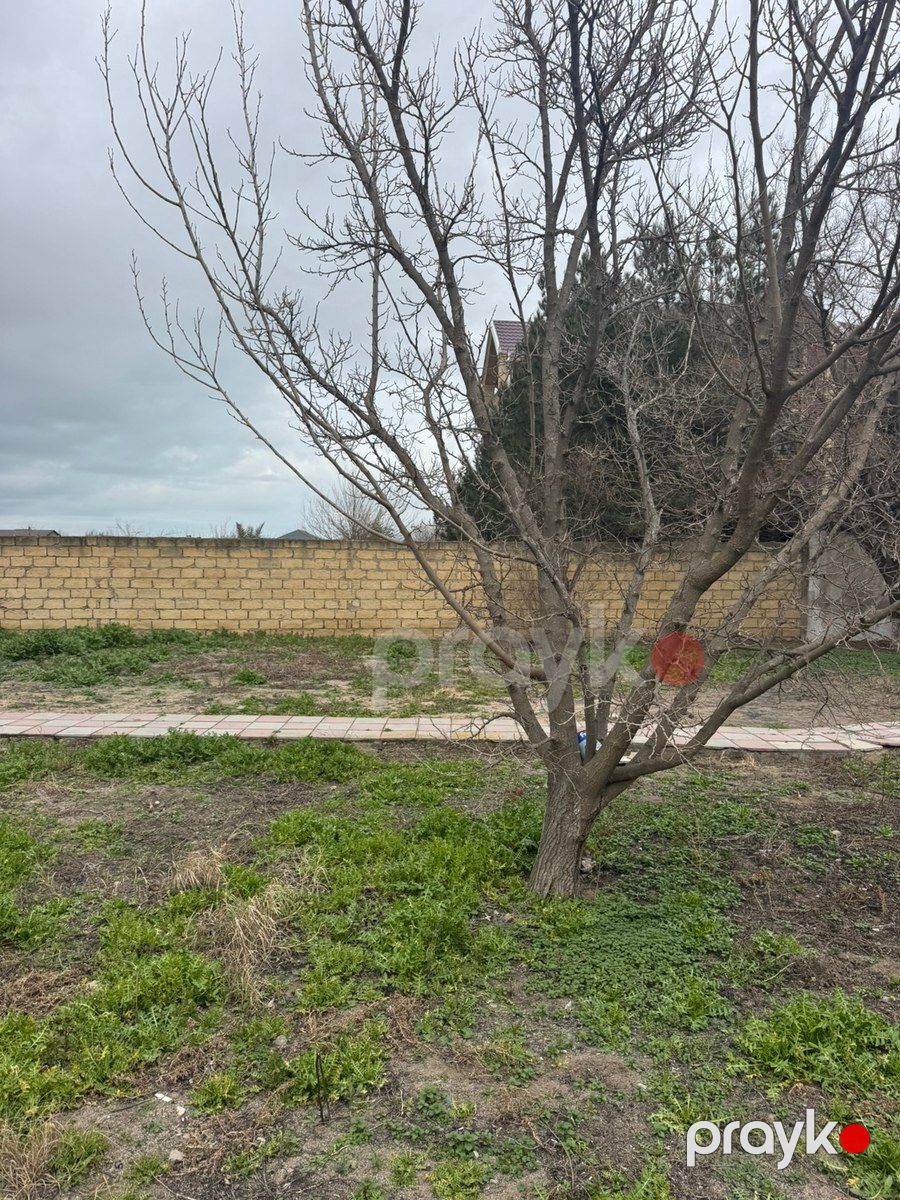 3 sot torpaq sahəsi, Novxanı qəs — Torpaq, Bakı (4)