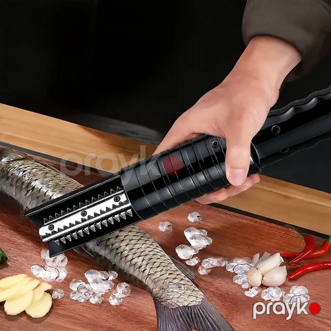 Elektron balıq təmizləyən