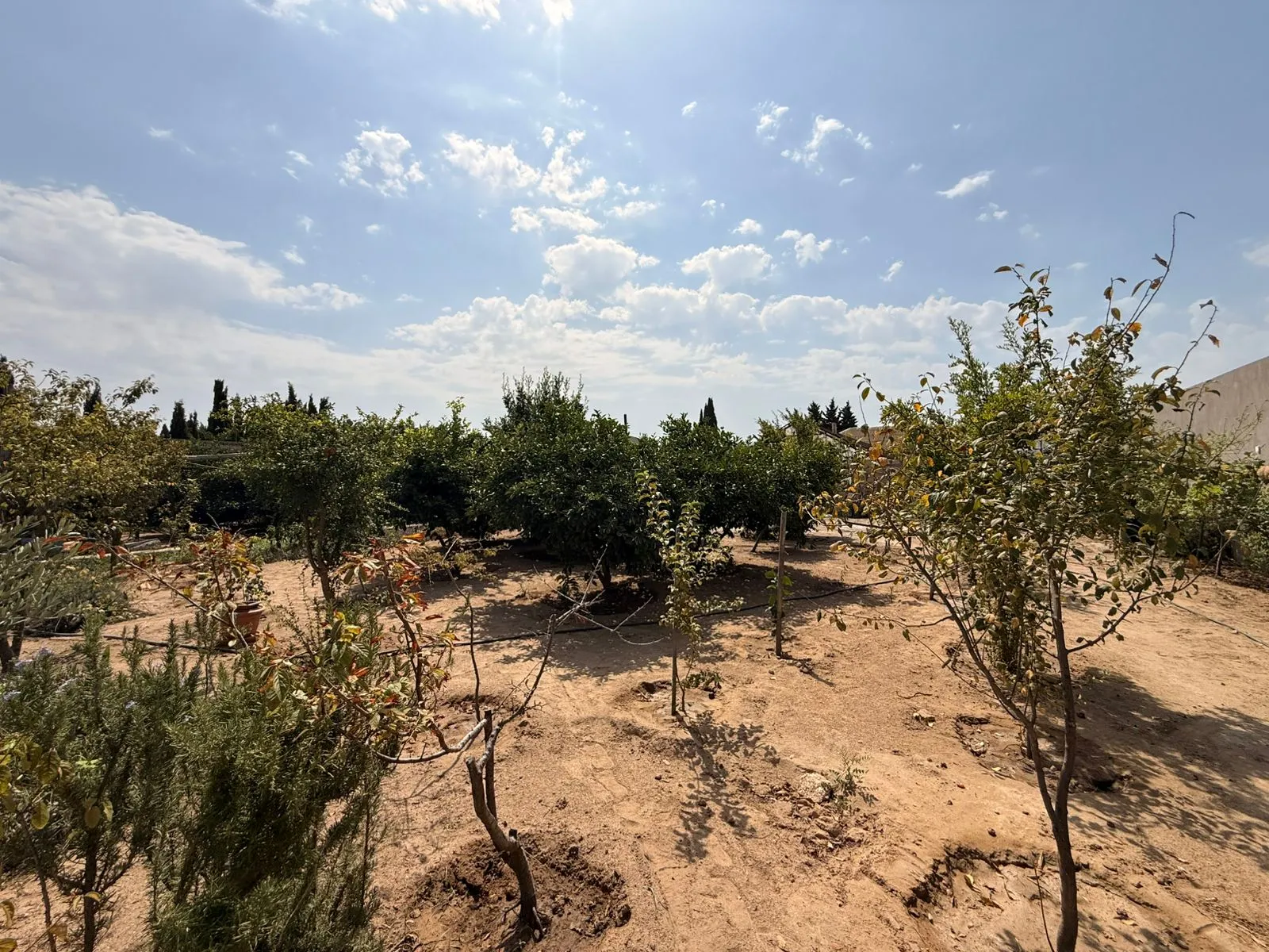 Şüvəlan, Torpaq satılır - 5 sot — Torpaq, Bakı (5)