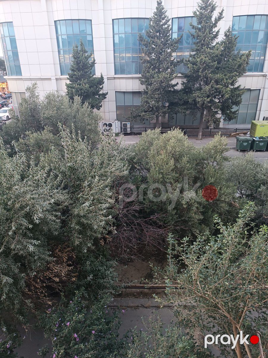 Satılır 1 otaqlı köhnə tikili 35 m² — Mənzil, Bakı (10)