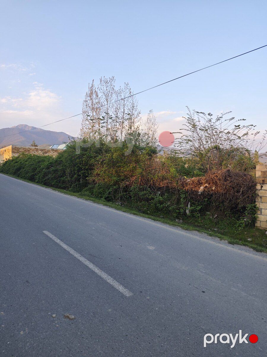 10.5 sot torpaq sahəsi, Qəbələ r — Torpaq, Qəbələ (4)