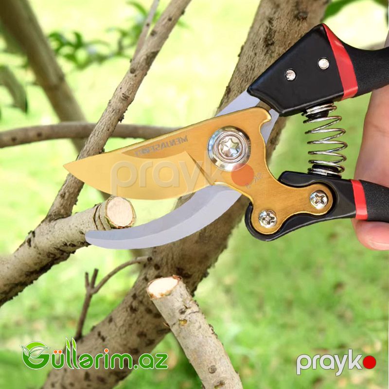 Afıxs Professional Pruning Shears (Bağ qayçısı) — Bağ aləti, Bakı (2)