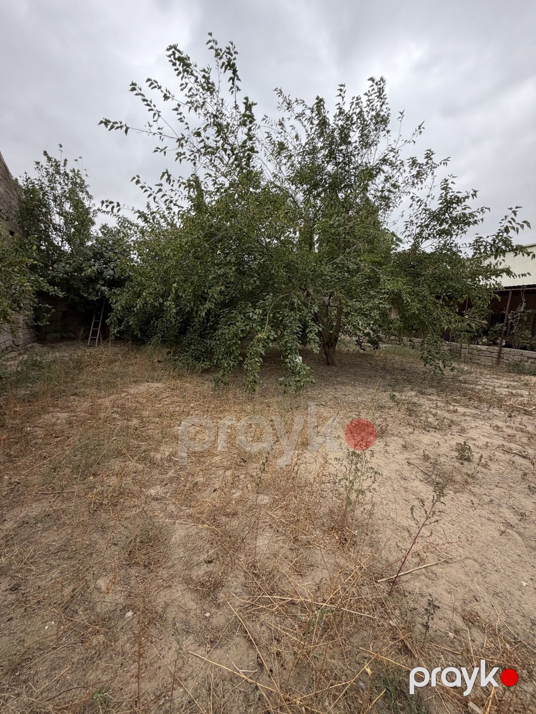 Satılır torpaq 3 sot — Torpaq, Bakı (5)