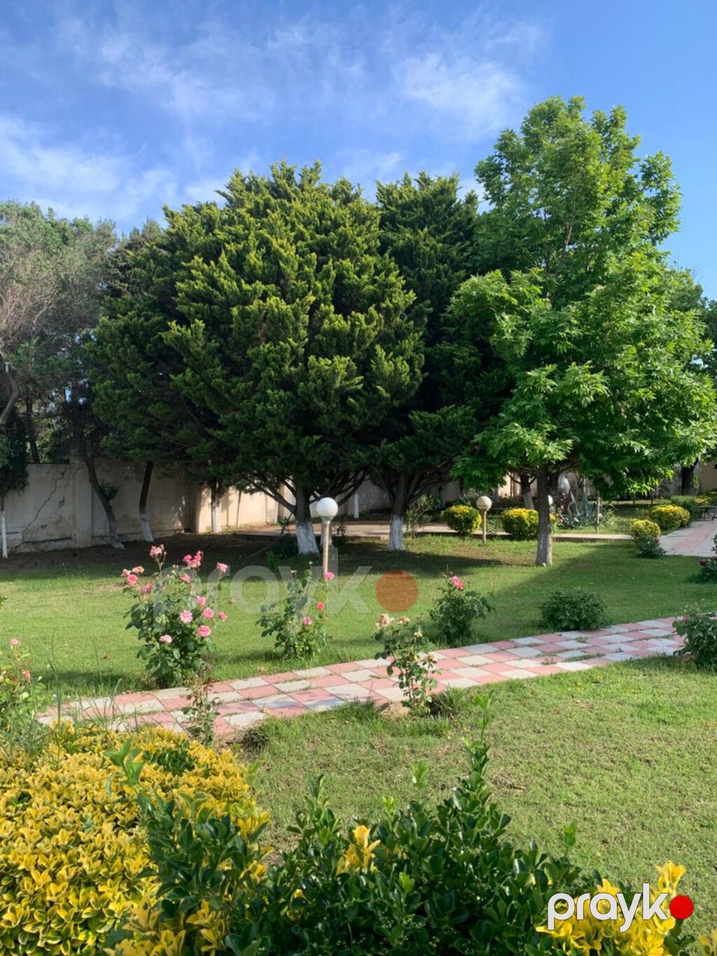 5 otaqlı, 350 kv. m, Yeni təmirli — Ev, villa, Bakı (4)