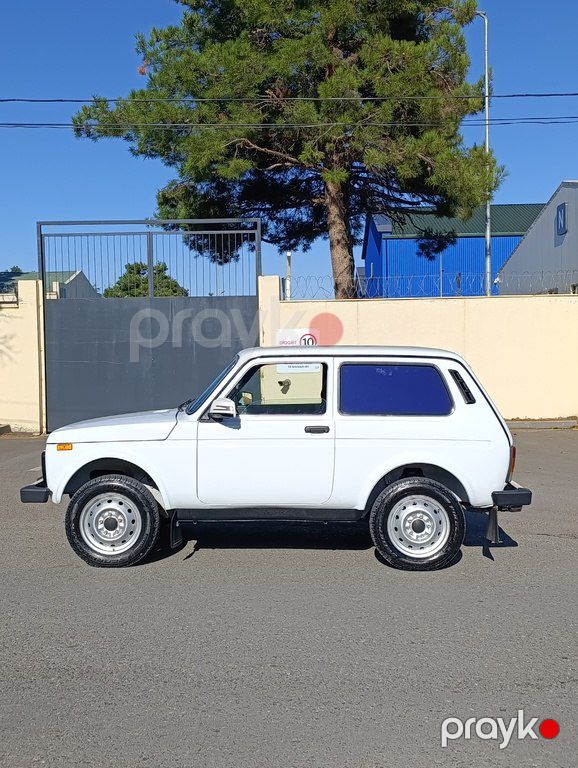 Lada (VAZ) Niva, 1.7 L, 2013 il, 111 000 km — Avtomobillər, Tərtər (8)