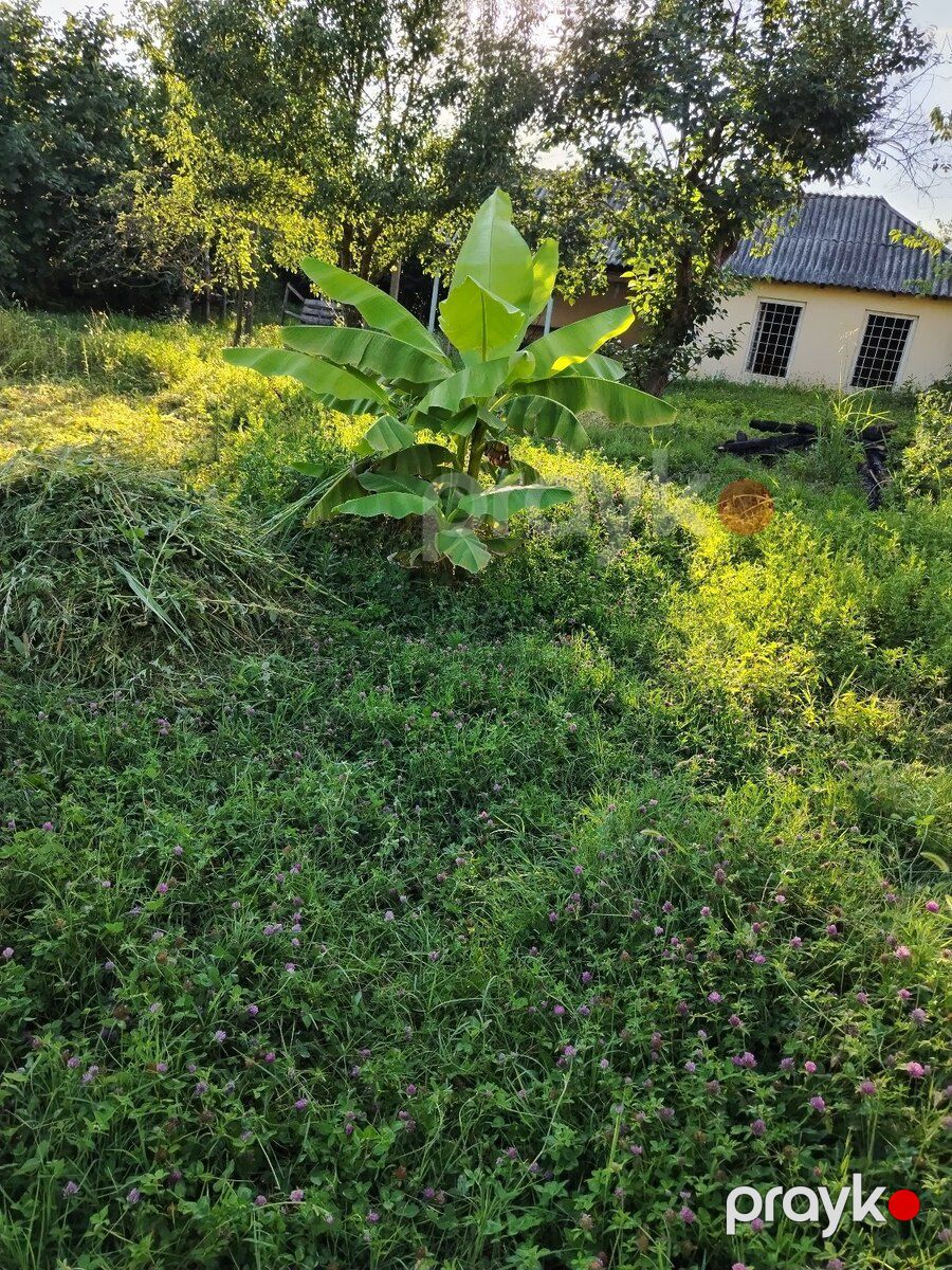 Həyət evi, Oğuz r — Ev, villa, Oğuz (3)