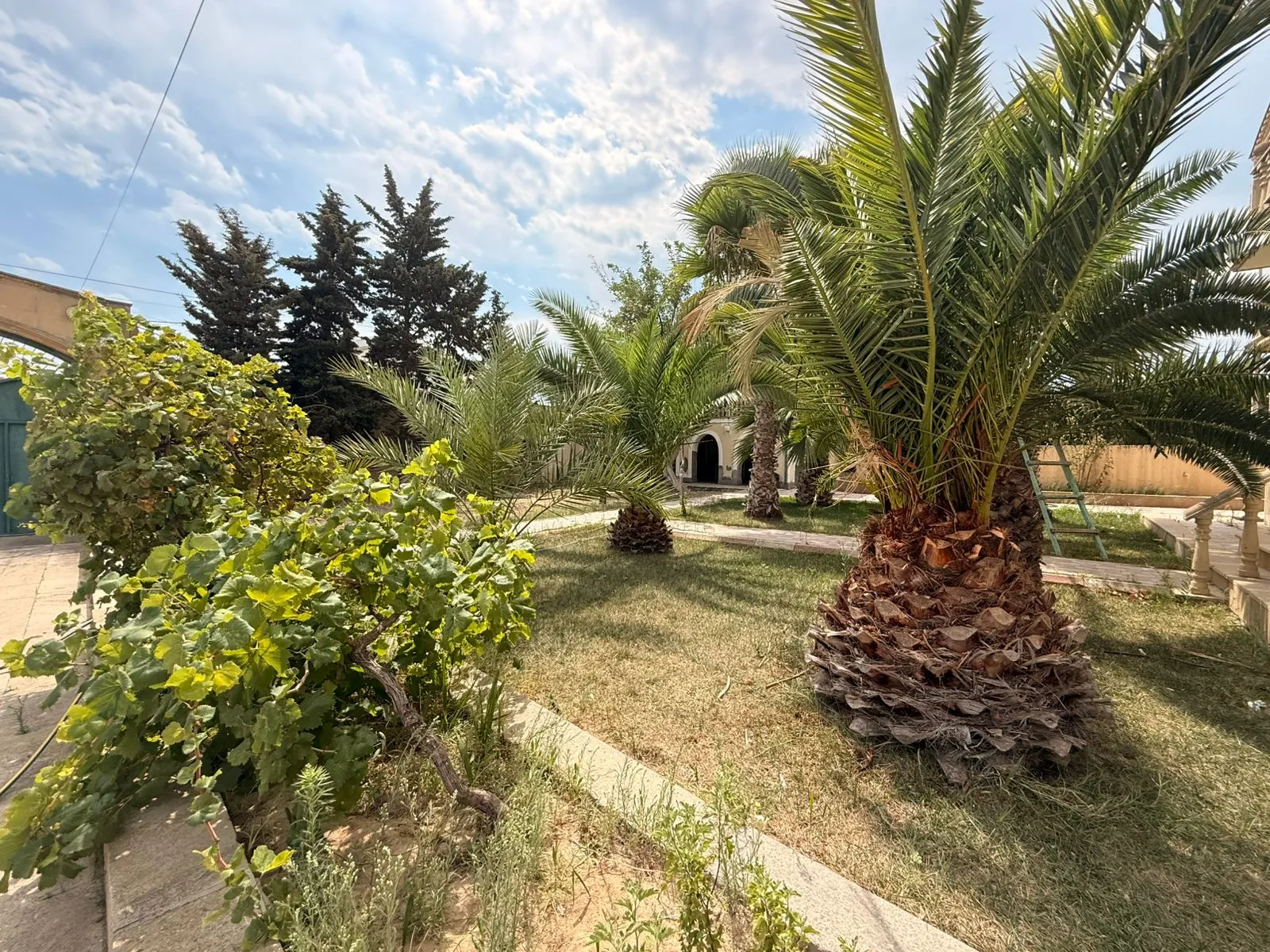 Mərdəkan, Torpaq satılır - 14 sot — Bakı