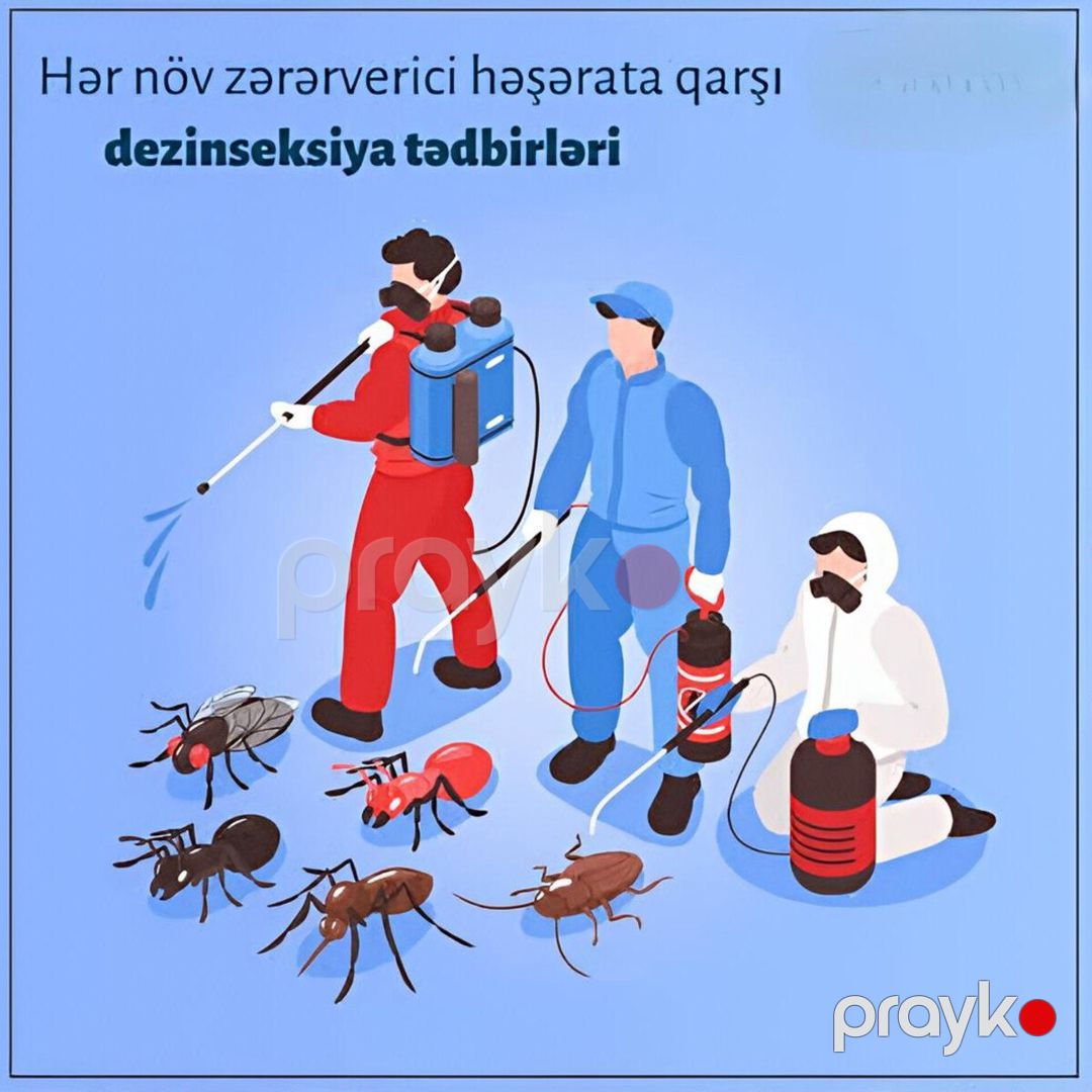 Dezinfeksiya xidməti — Təmizlik, Bakı (2)