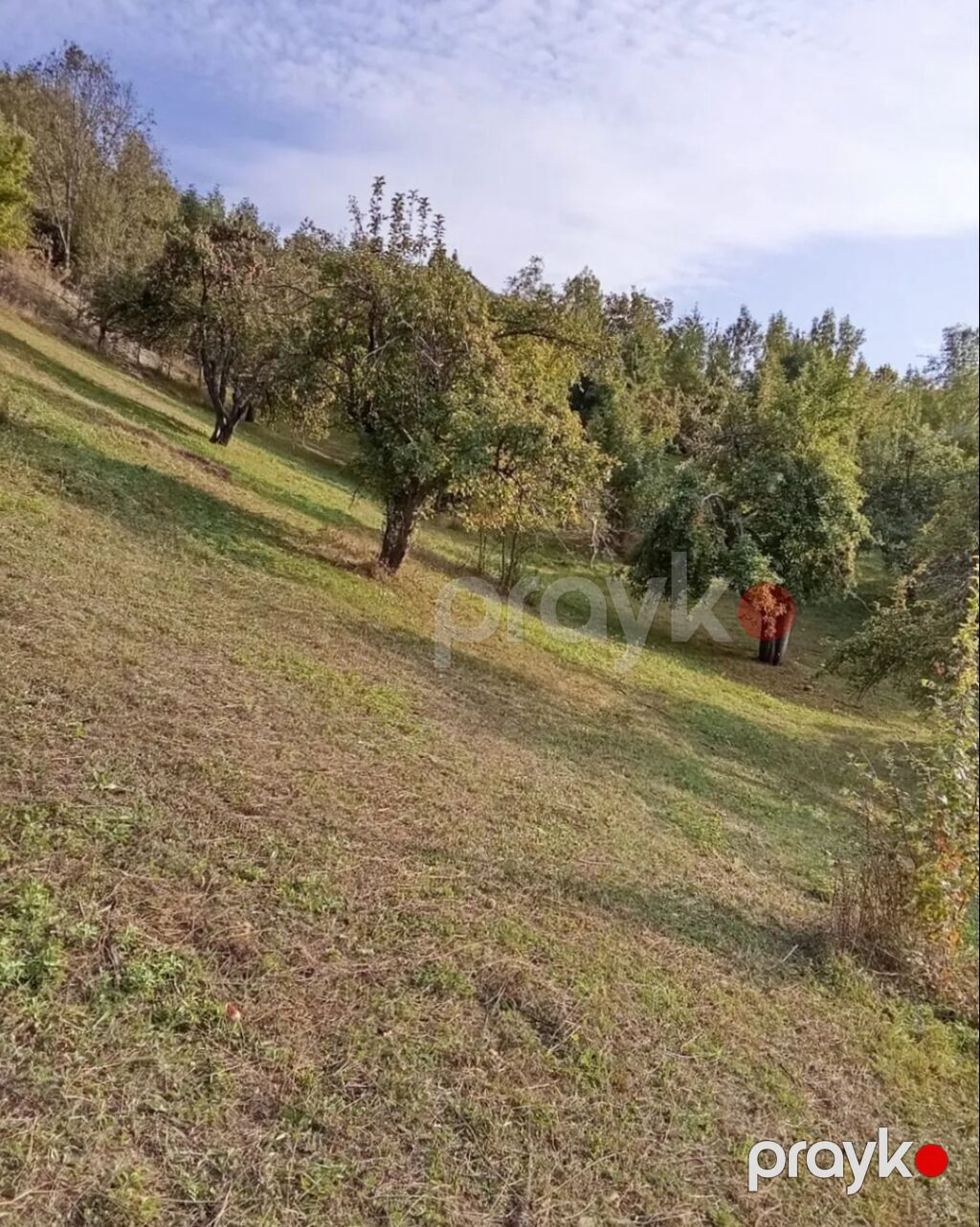 6 sot, Tikinti, Mülkiyyətçi, Kupça (Çıxarış) — Torpaq, Bakı (6)