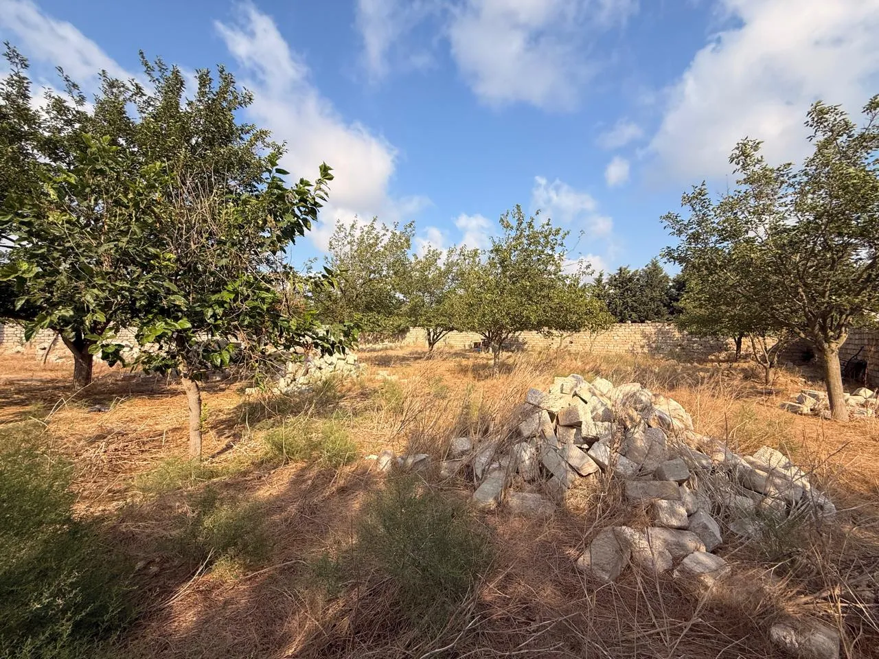 Mərdəkan, Torpaq satılır - 13 sot — Torpaq, Bakı (10)
