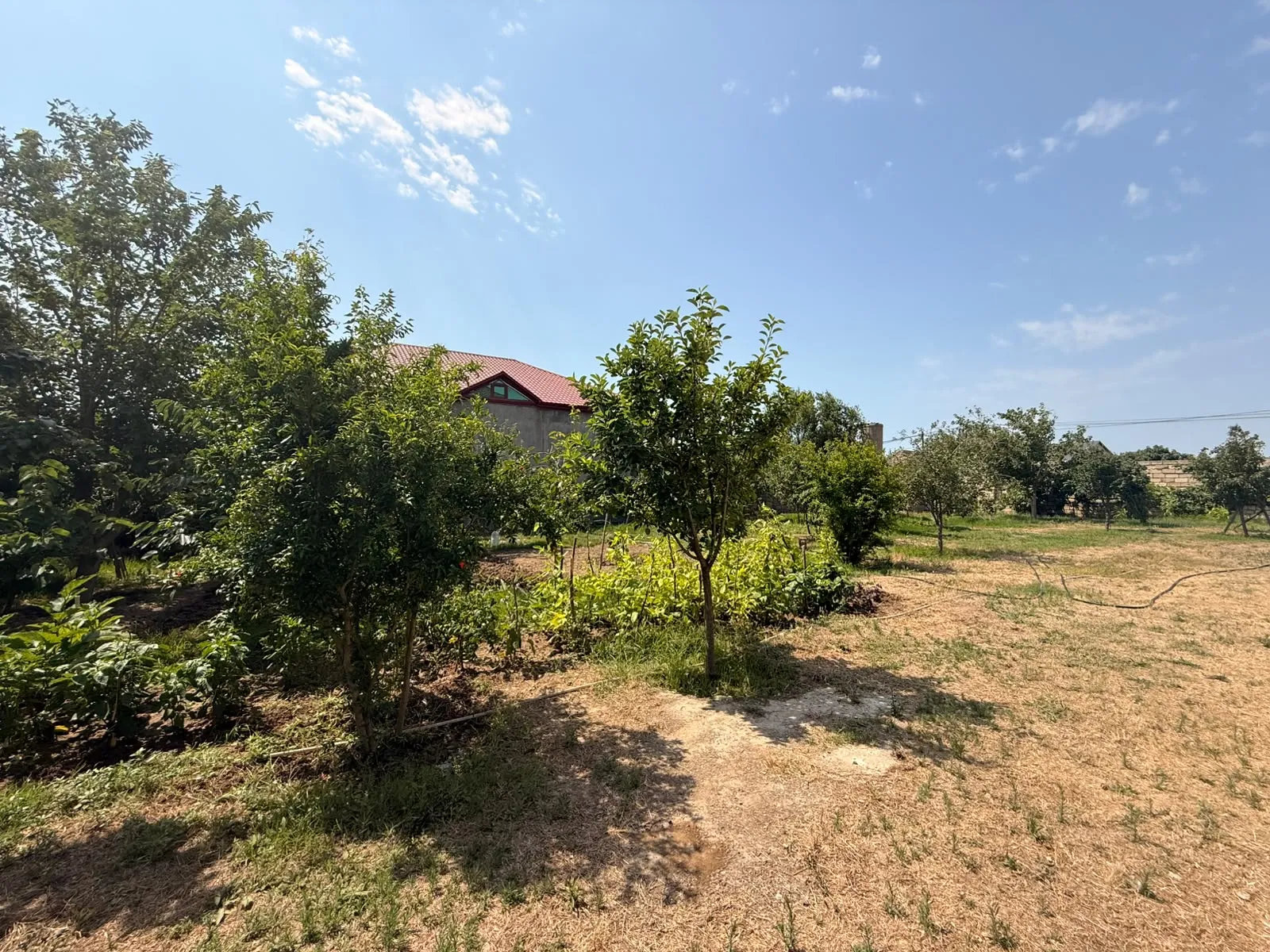 Mərdəkan, Torpaq satılır - 14 sot — Torpaq, Bakı (7)