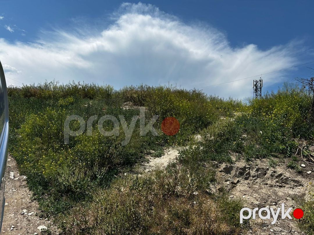 4 sot torpaq sahəsi, Tovuz ş — Torpaq, Tovuz (8)