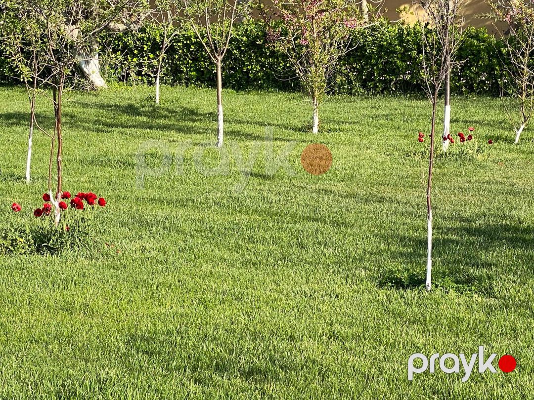 Satılır 8 otaqlı həyət evi/bağ evi 1000 m² — Ev, villa, Bakı (3)