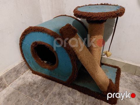 Pişik yuvası — Sumqayıt