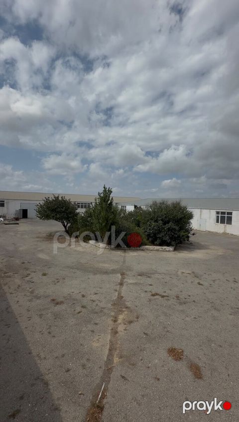 Obyekt, Suraxanı r — Bakı