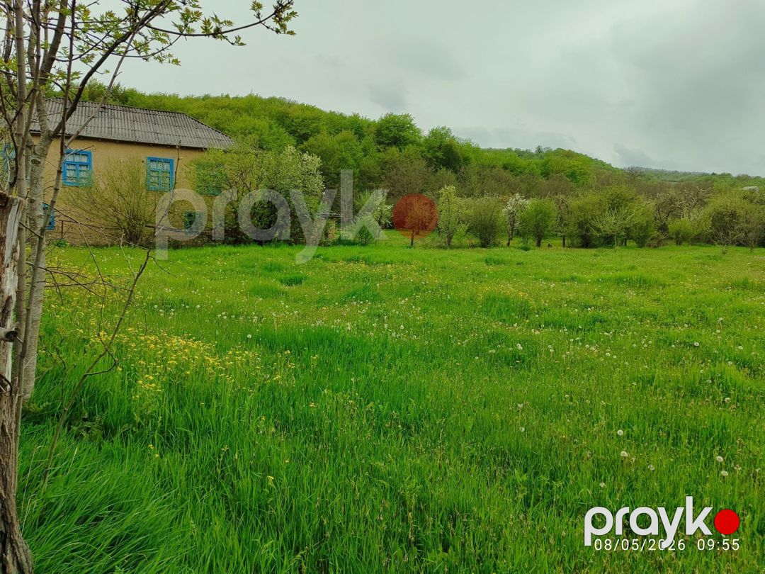 12 sot torpaq sahəsi, Xuray k — Torpaq, Qusar (5)
