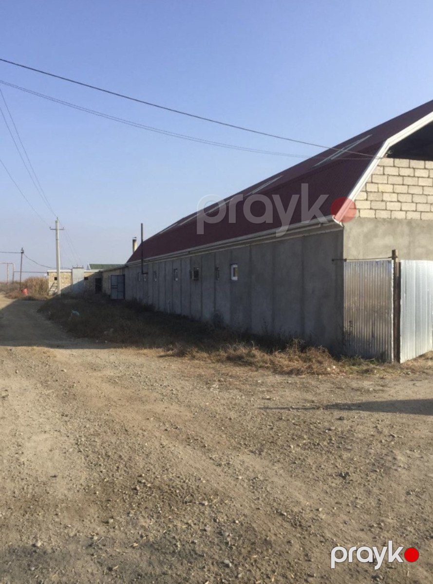 Satılır obyekt 60000 m² — Əmlak, Salyan (5)